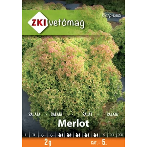 Saláta Merlot Tépősaláta - ZKI