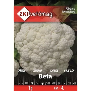 Karfiol Beta - HÁZIKERTI FAJTA - ZKI