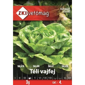 Saláta - Téli vajfej - ZKI