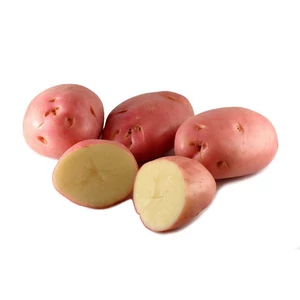 Vetőburgonya Desire 50db