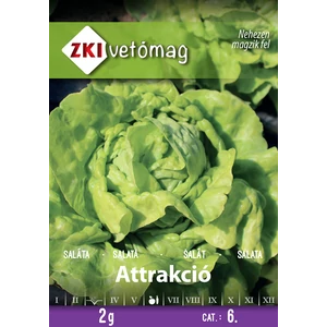 Saláta - Attrakció - NYÁRI, ŐSZI - ZKI