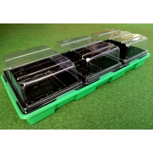 Palántázó tálca 3 részes + tető