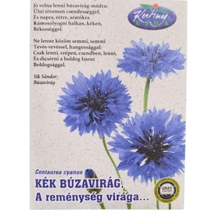 Kék Búzavirág - verses postai levél - Rédei Kertimag