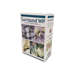 Surround WP
