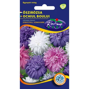 Őszirózsa - Strucctoll - Színkeverék - Rédei Kertimag