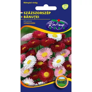 Százszorszép - Színkeverék - Rédei Kertimag