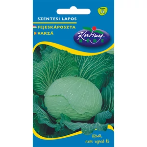Fejes Káposzta Szentesi lapos - ŐSZI - Rédei Kertimag