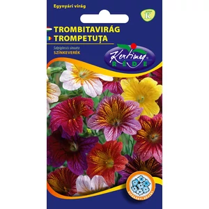 Trombitavirág - Színkeverék - Rédei Kertimag