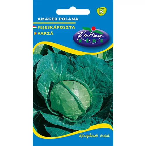 Kép 1/2 - Fejes Káposzta - Amager polana - ŐSZI - Rédei Kertimag