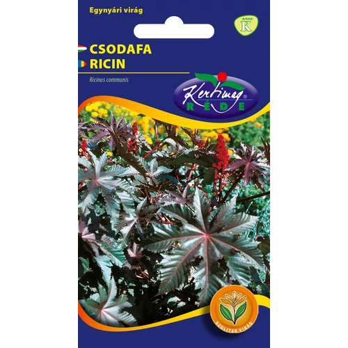 Kép 1/2 - Csodafa - Piroslevelű - Rédei Kertimag