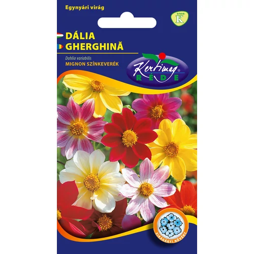 Kép 1/2 - Egynyári dália Mignon - Színkeverék - Rédei Kertimag