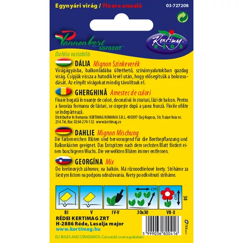 Kép 2/2 - Egynyári dália Mignon - Színkeverék - Rédei Kertimag