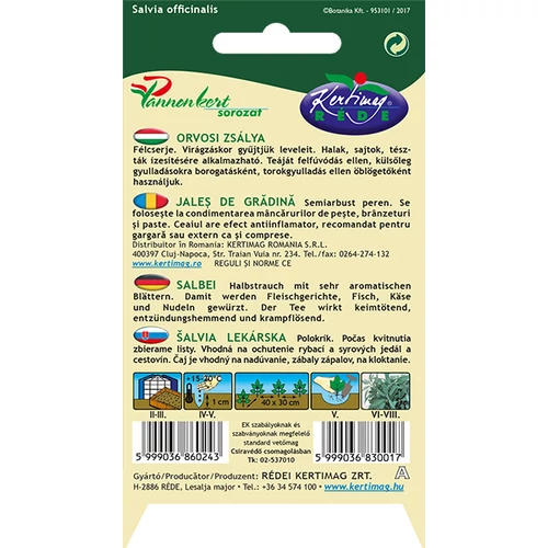 Kép 2/2 - Orvosi zsálya - Rédei Kertimag