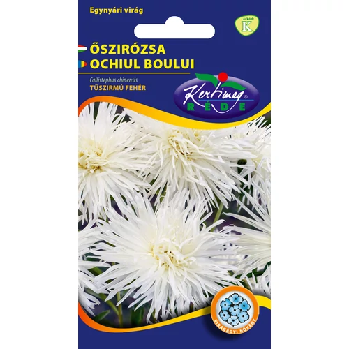 Kép 1/2 - Őszirózsa Tűszirmú - Fehér - Rédei Kertimag