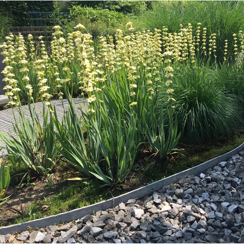 Kép 8/16 - Ecolat Kőhatású Tó -és Ágyásszegély 