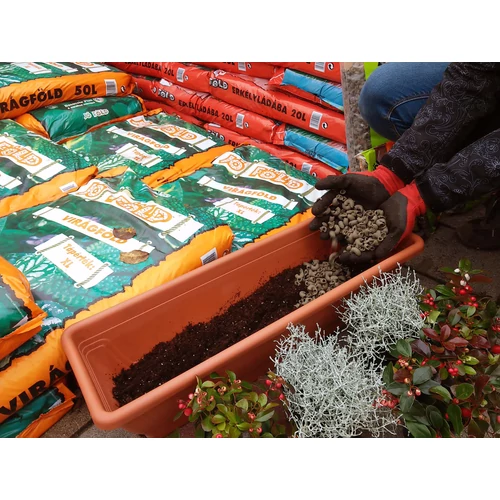 Kép 4/5 - Gyökéritató 70g