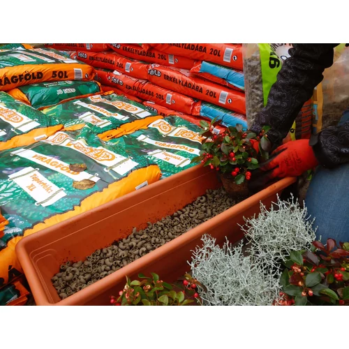 Kép 3/5 - Gyökéritató