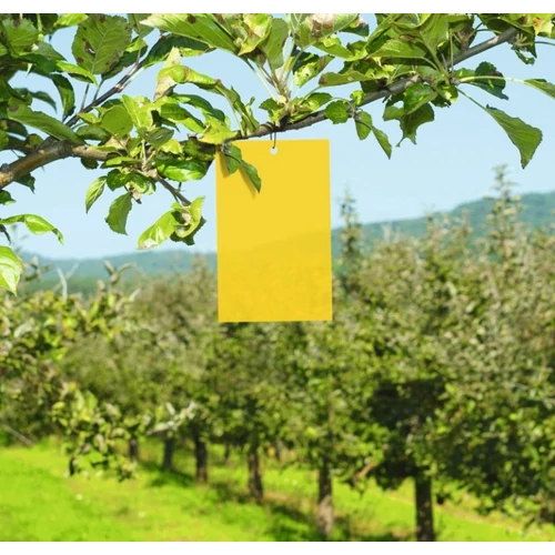 Kép 2/4 - BIO Plantella Sárga lapok rovarok ellen A4 - 10db