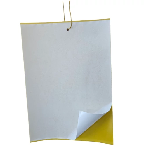 Kép 3/4 - BIO Plantella Sárga lapok rovarok ellen A4 - 10db