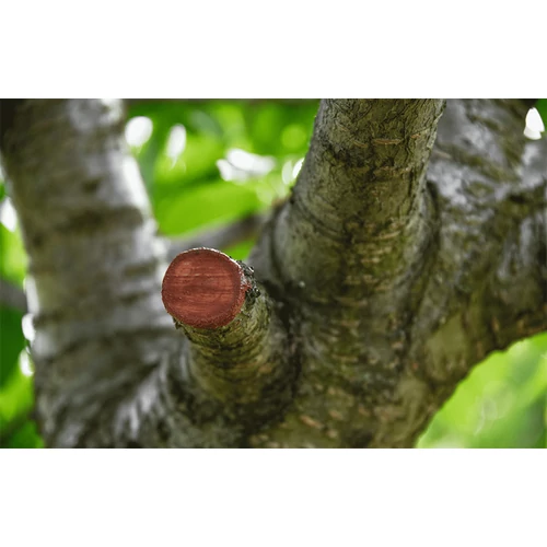 Kép 3/7 - Biocera fasebkezelő- és oltóviasz