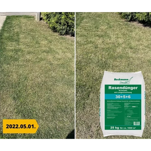 Kép 3/4 - Barenbrug Bermuda csillagpázsit 500g