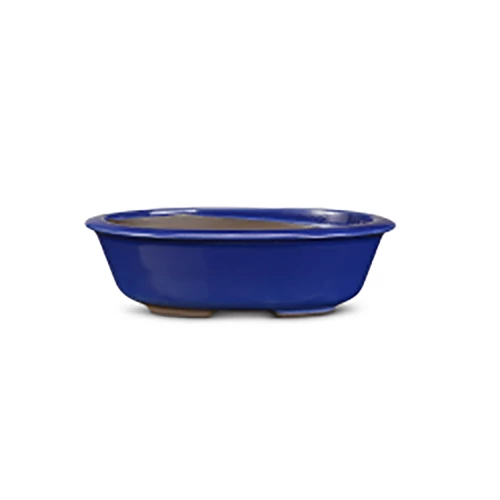 Kép 2/2 - Mázas Bonsai tál Blue Elettrico 