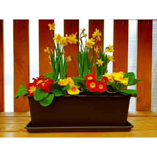 Kép 2/3 - BASIC Balkonláda MOKKA