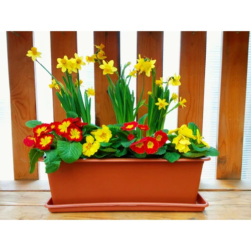 Kép 2/4 - BASIC Balkonláda TERRAKOTTA