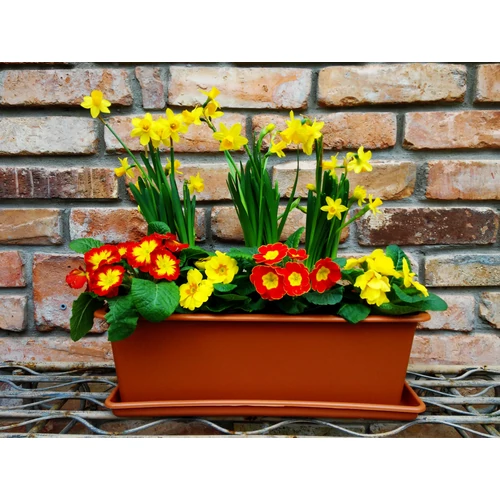 Kép 4/4 - BASIC Balkonláda TERRAKOTTA