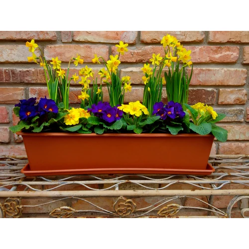 Kép 3/3 - BASIC Balkonláda TERRAKOTTA