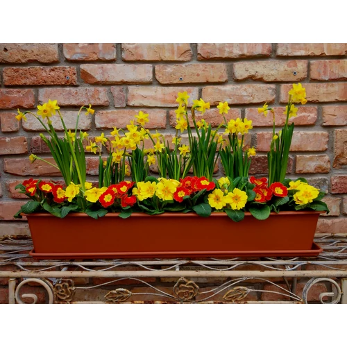 Kép 2/2 - BASIC Balkonláda 80cm