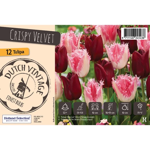 Dutch Vintage 'Crispy Velvet'