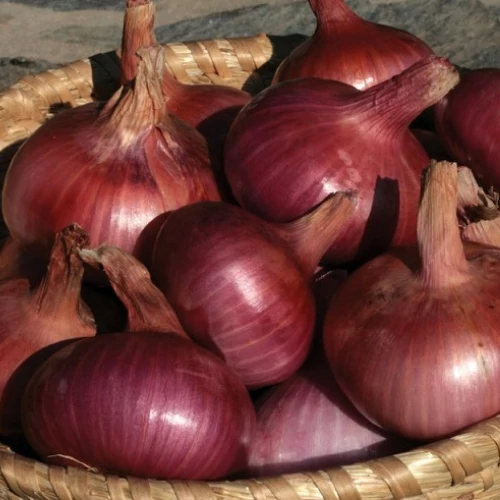 Kép 2/4 - Ptujski Rdeca rózsaszín Dughagyma 250g