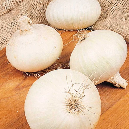 Kép 2/4 - Snowball Fehér Dughagyma 250g