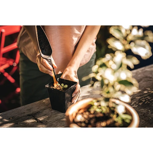 Kép 6/8 - FISKARS Solid magvető kanál