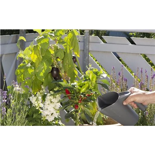 Kép 2/4 - Gardena City Gardening Alapfelszerelés Erkélyre