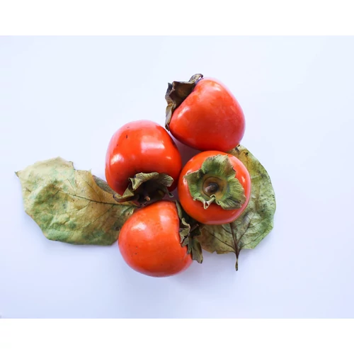 Kép 3/9 - Diospyros kaki - Japán datolyaszilva, Hurma, Kaki