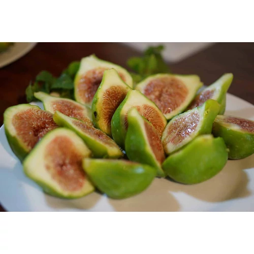 Kép 5/6 - Ficus carica - Közönséges füge 