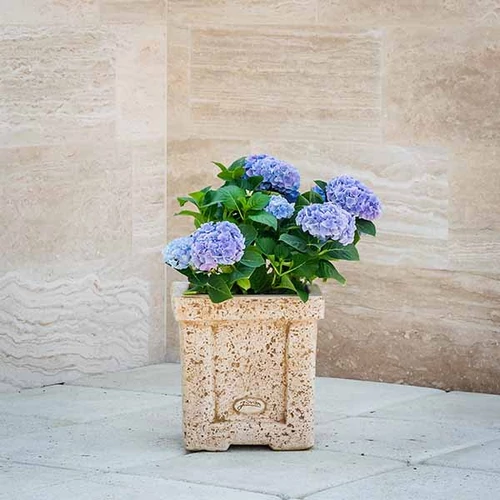 Kép 1/2 - JOVÁN Róma kocka virágláda 35cm MOGYORÓ