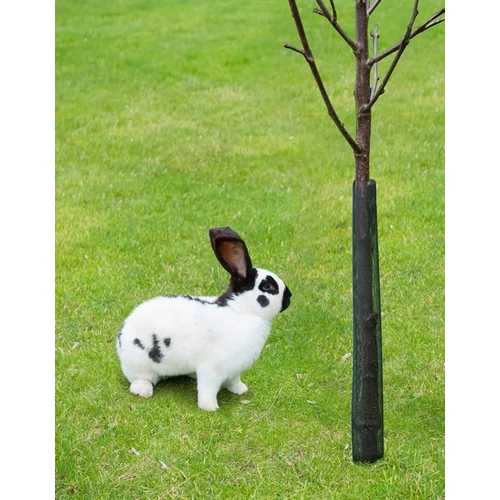 Kép 2/2 - Fatörzsvédő háló nádpálcás