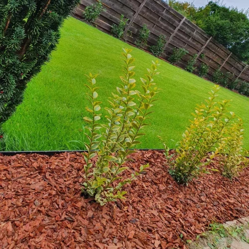 Kép 3/4 - vorosfenyo_kereg_3-4cm_agyasban