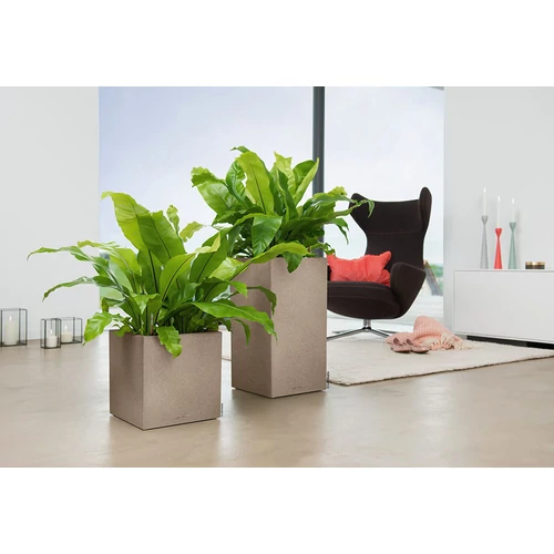 Kép 3/3 - Canto Color Kocka 30 Sandy beige