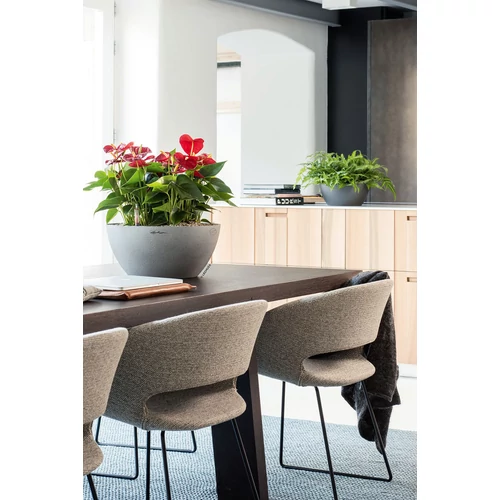 Kép 3/3 - Lechuza Cubeto Stone 40cm - Stone Grey