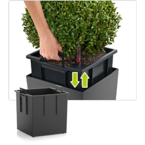 Kép 3/10 - Lechuza Cube Prémium 40cm