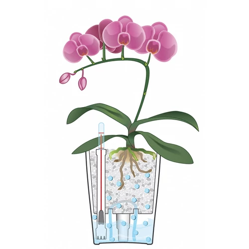 Kép 9/10 - Lechuza Mini-Deltini Prémium asztali kaspó