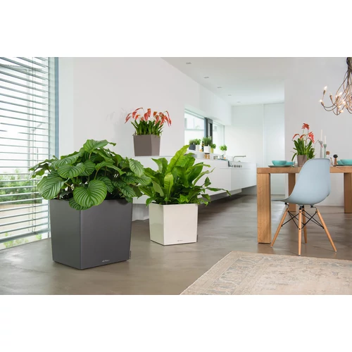 Kép 4/10 - Lechuza Cube Prémium 40cm