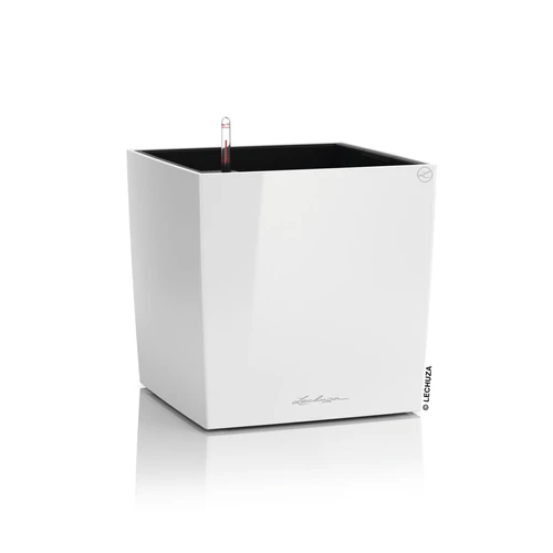 Kép 7/10 - Lechuza Cube Prémium 40cm