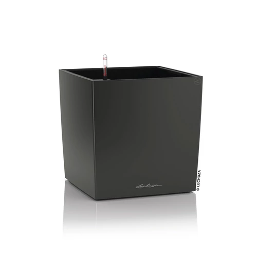 Kép 8/10 - Lechuza Cube Prémium 40cm