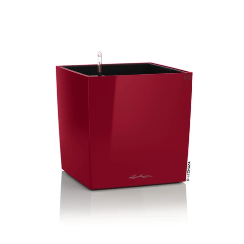 Kép 9/10 - Lechuza Cube Prémium 40cm