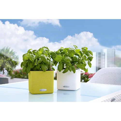 Kép 3/7 - CubeColor 16